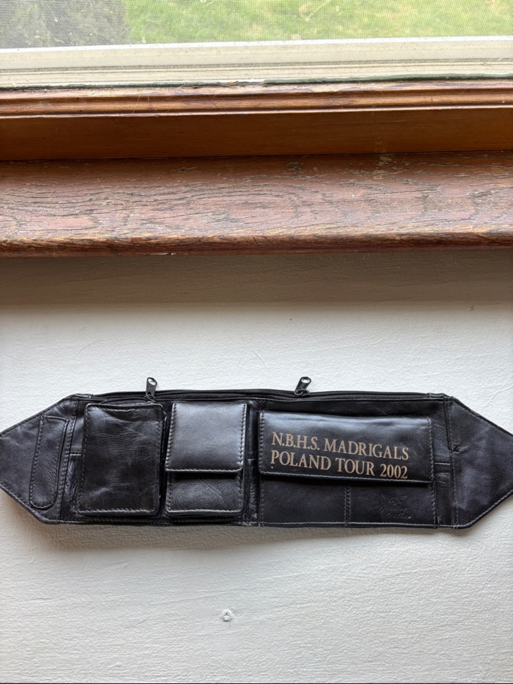 Y2K Era Money Belt